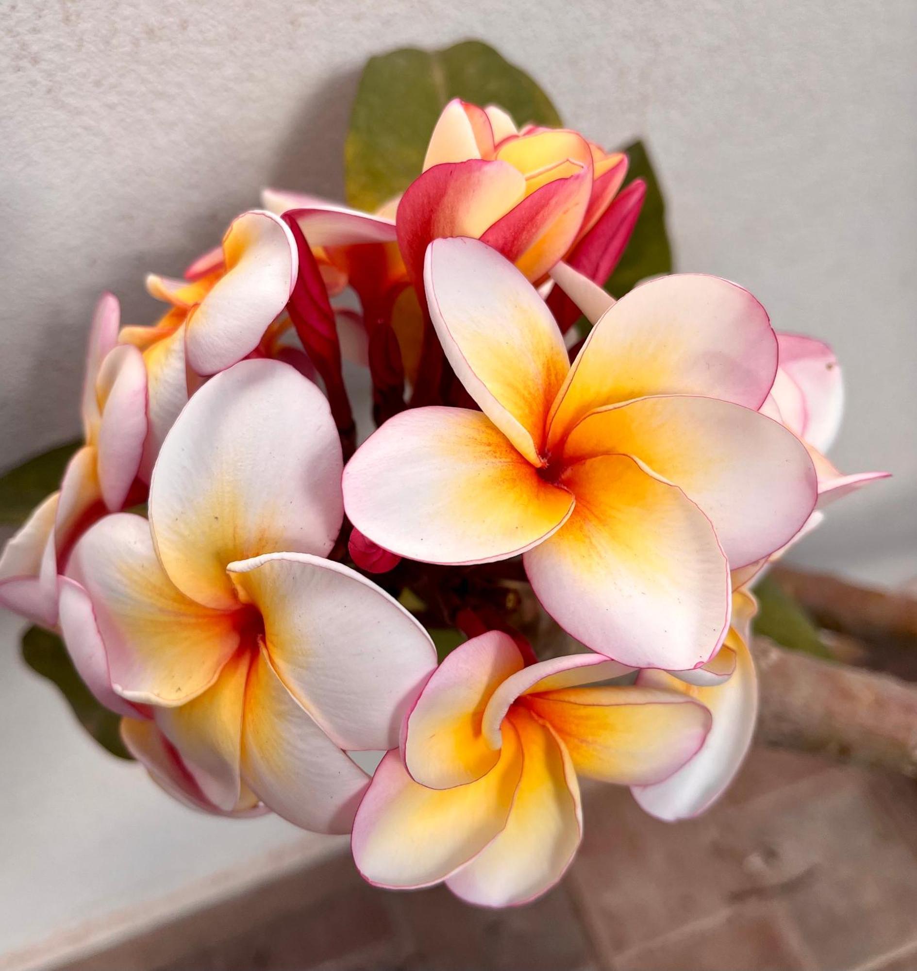 Il Cuore Di Trapani Ngoại thất bức ảnh